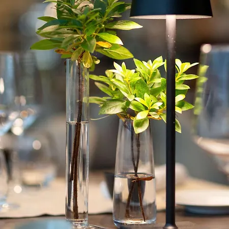 Hotel Novotel Lugano